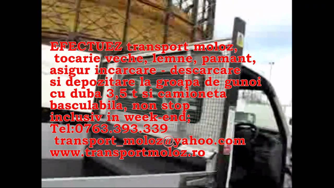 TransportMoloz.ro