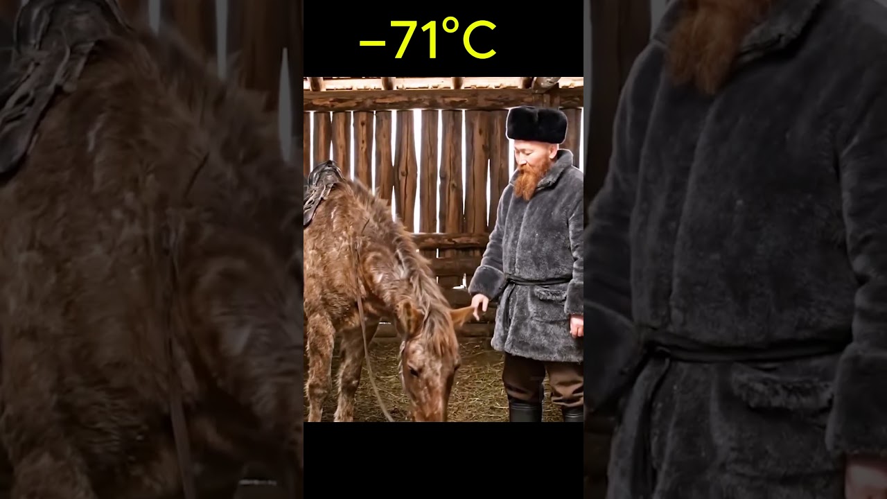 At -71&deg; Celsius, he saved a frozen horse 🐴❄️  #yakutia #animalrescue #wildliferescue