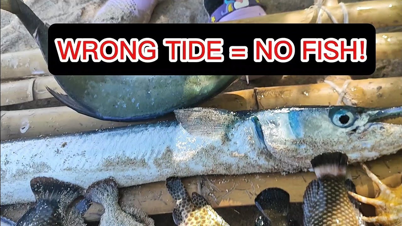 Maling Tide = Walang Huli! 🎣 pHShore Fishing Secret