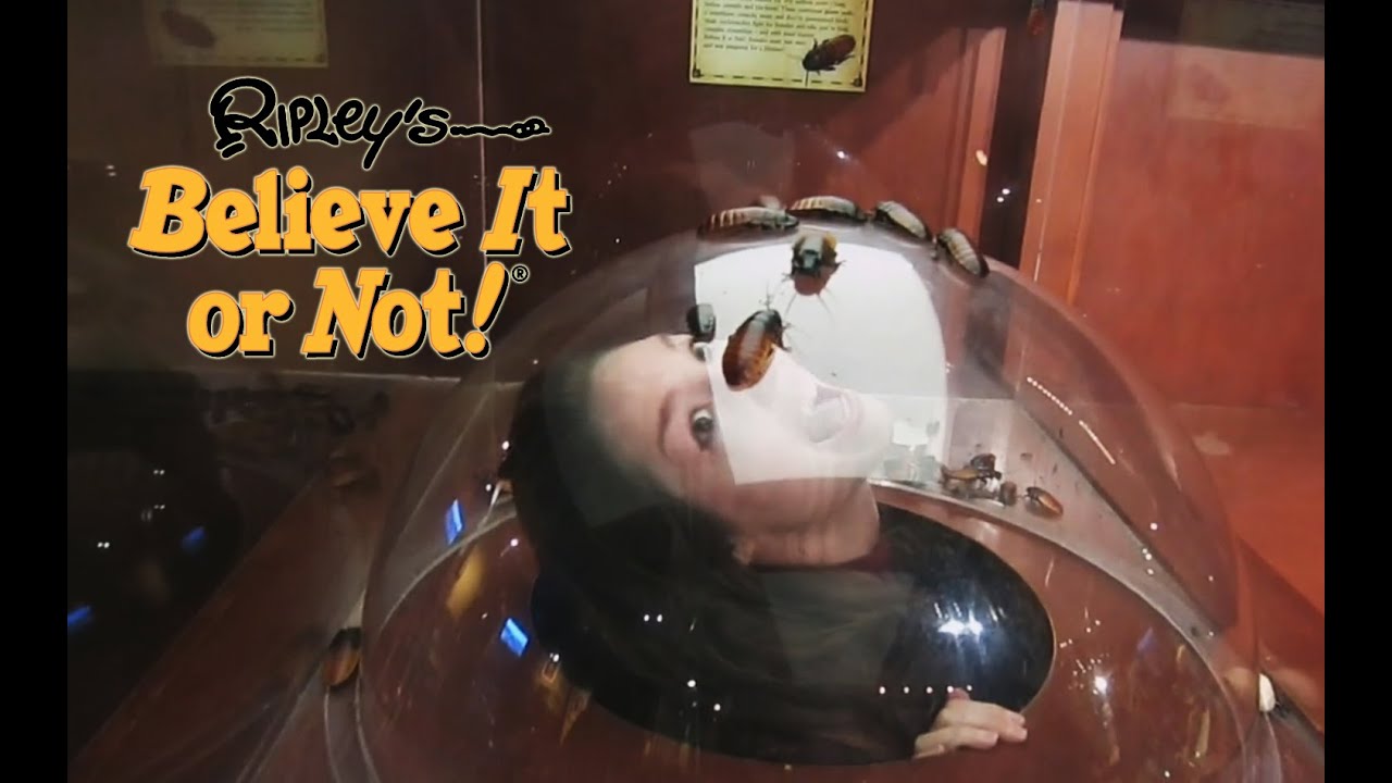 Ripley's Believe It or Not! Times Square