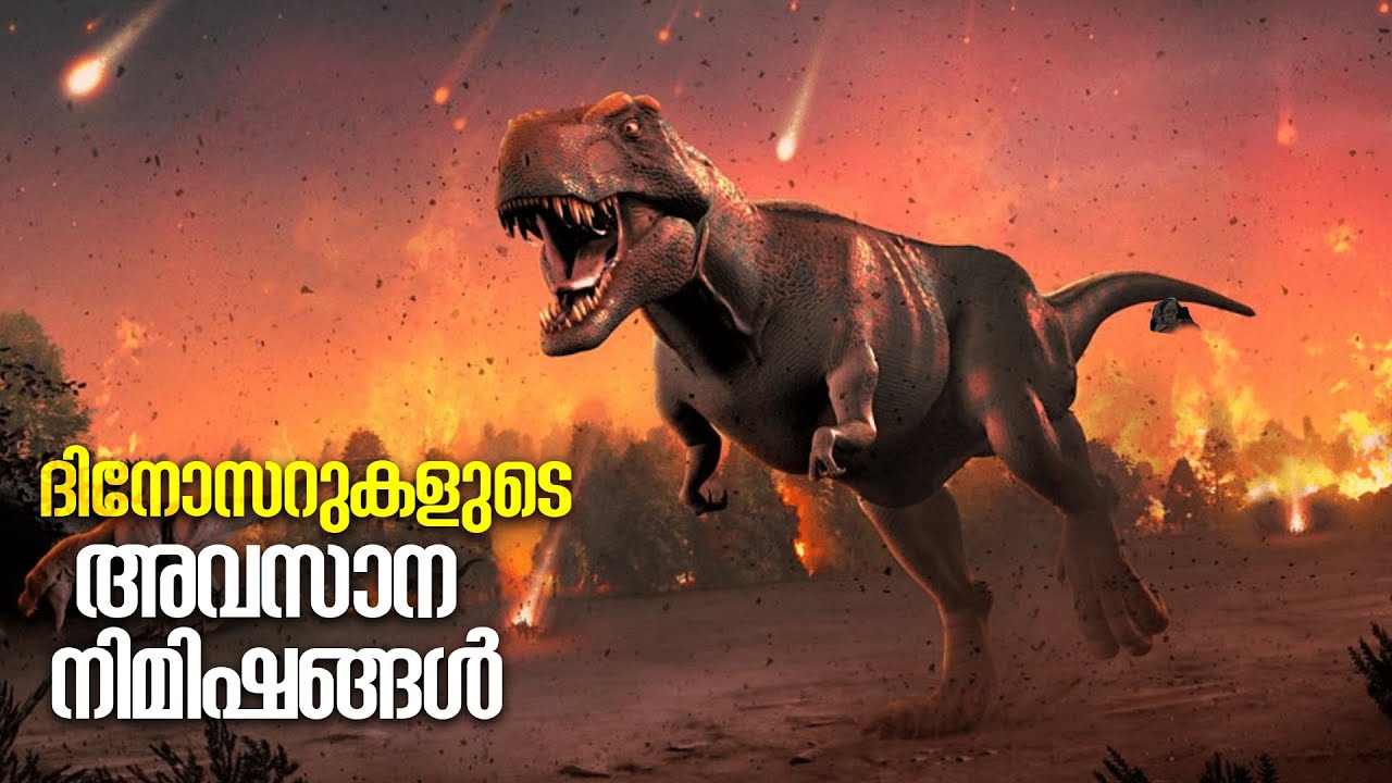 How Dinosaurs Went Extinct | ദിനോസറുകൾക്ക് സംഭവിച്ചത് എന്ത്? |