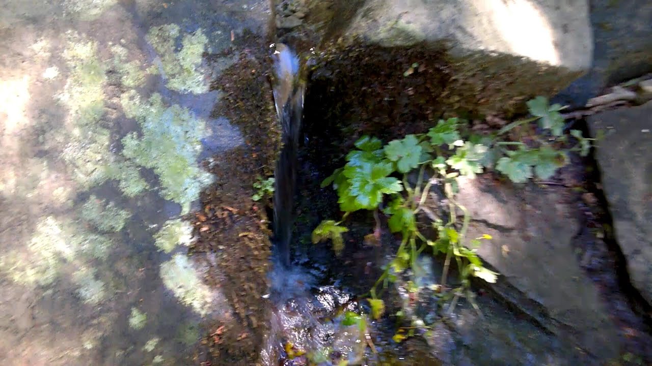 La sorgente dell'Arno Capo d'Arno monte Falterona Video