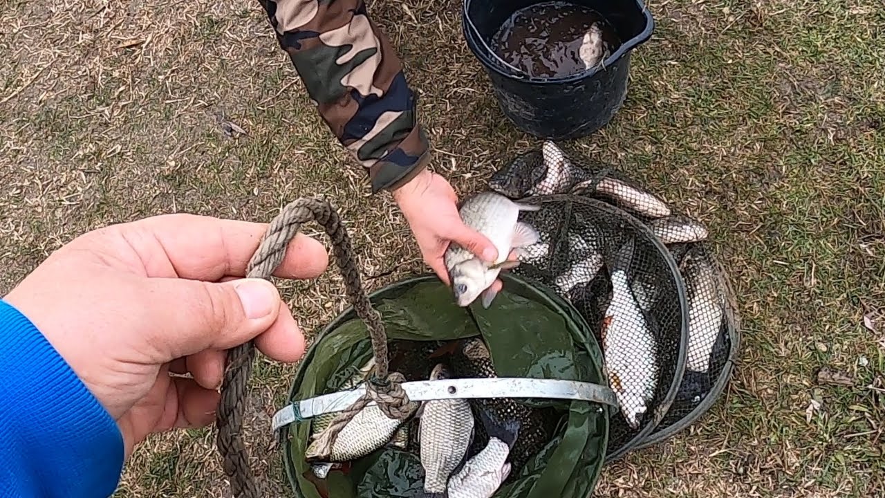 L-am bubuit pe CARAS pe Canalul S22 - A DOUA PARTE 🐟🎣
