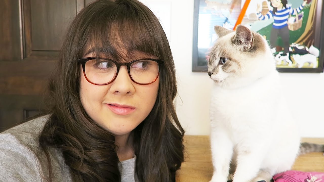 I GOT A CAT? (MEET MILQUETOAST) - MONDAY VLOG