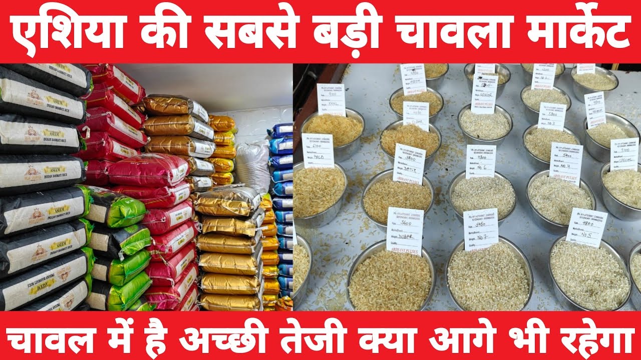 एशिया की सबसे बड़ी चावल मार्केट | Rice Wholesale Market in Delhi | Rice Business Full Details #rice