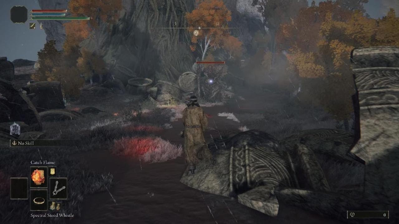 Caelid Putrid Avatar is no more.