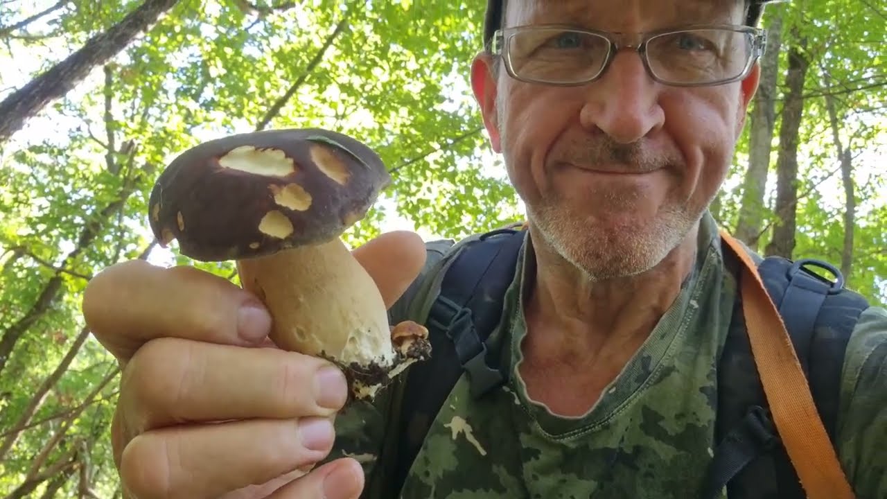 FUNGHI PORCINI 2025 FOLLIA NERA CON DIMITRI 4 SETTEMBRE 