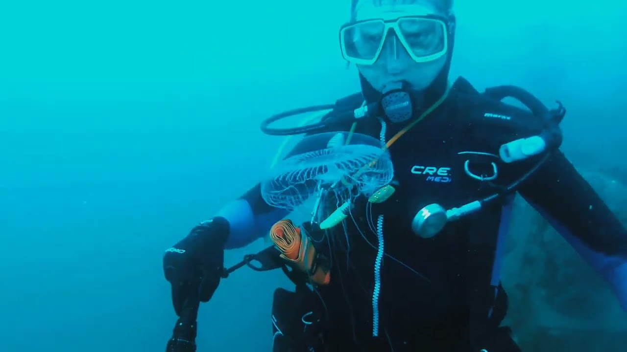Immersione sul relitto Evdokia 02/04/23
