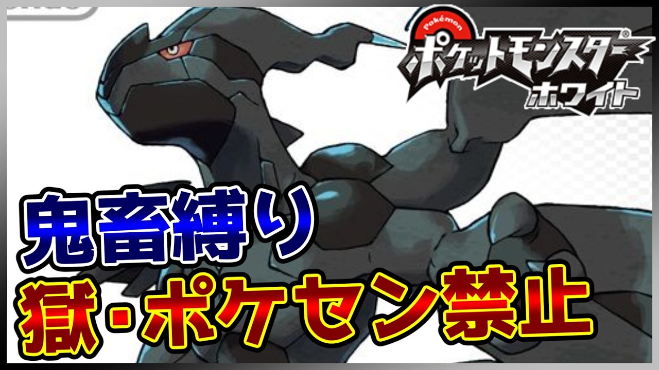 【鬼畜縛り】獄・ポケモンセンター禁止マラソン～イッシュ編～#36【ポケモンBW】