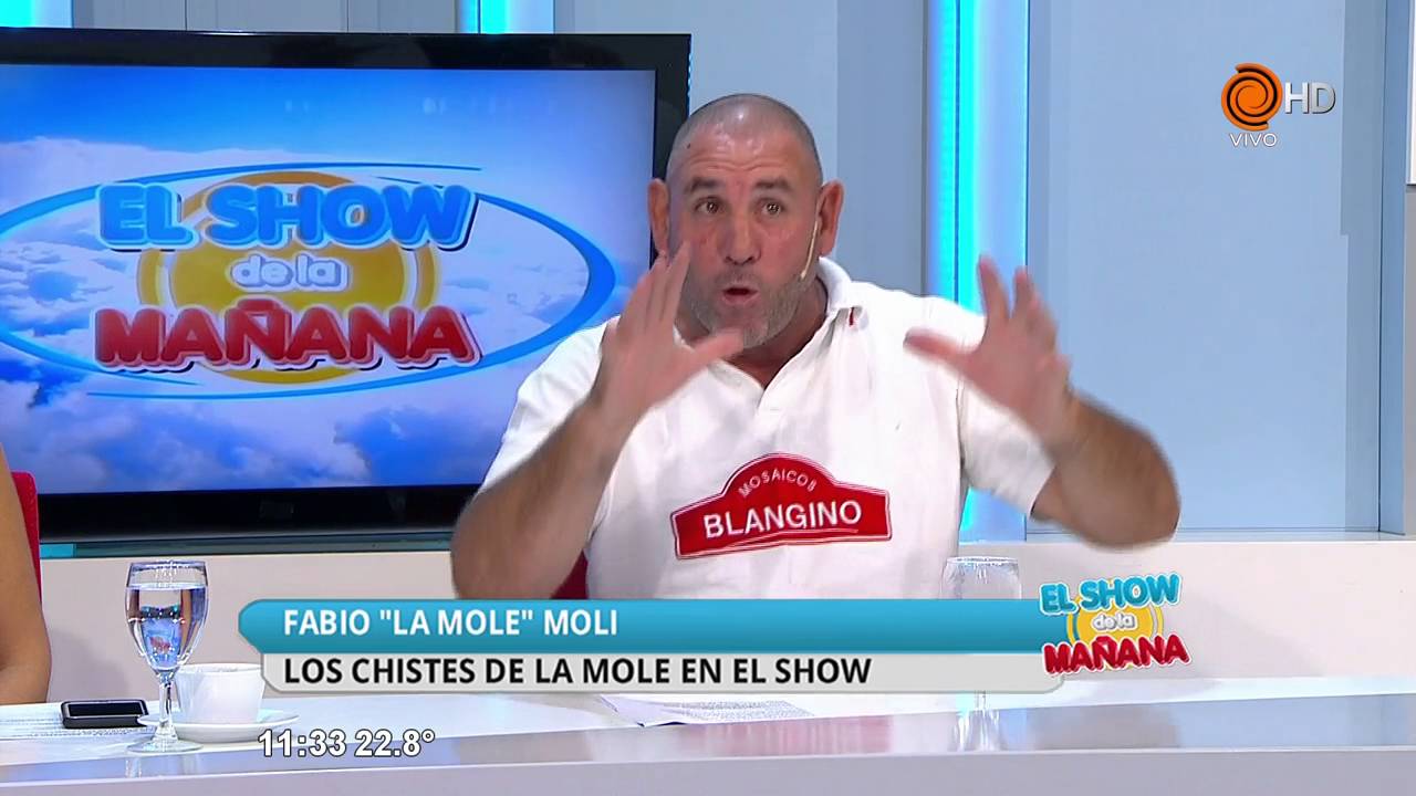 Cuento del pajarito y el zorro - La Mole Moli