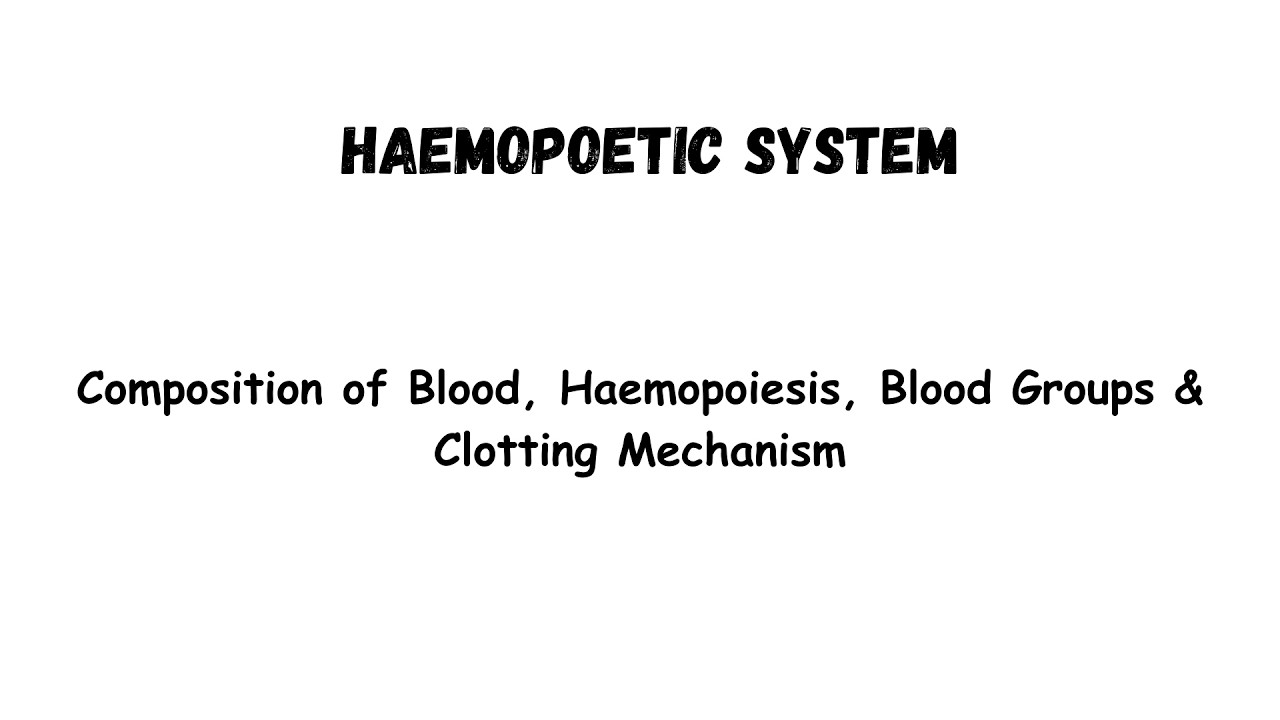 Haemopoietic System Explained | Composition of Blood, Haemopoiesis, Blood Groups, Clotting Mechanism