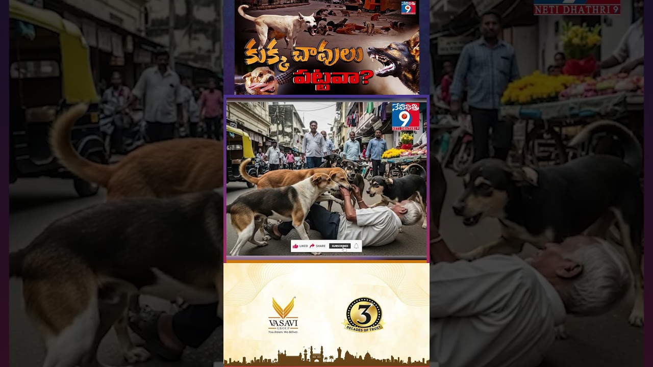 PART:6 కుక్క చావులు పట్టవా? #netidhathri #StreetDogs #StrayDogsIndia #DogBites #RabiesIndia