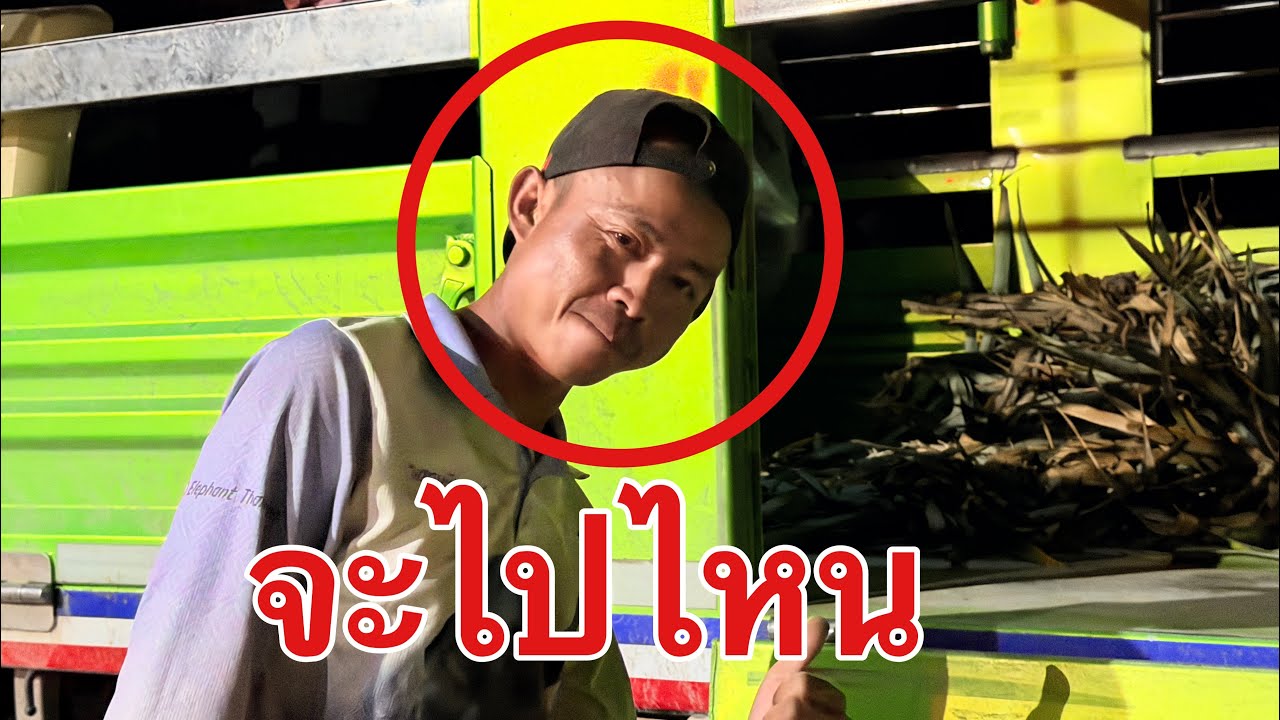 ัวบานจะไป สระบุรีElephant Thailand