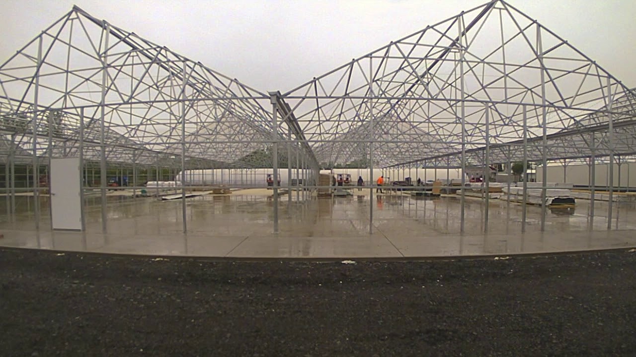 The Nexus Continium at Oregon CBD