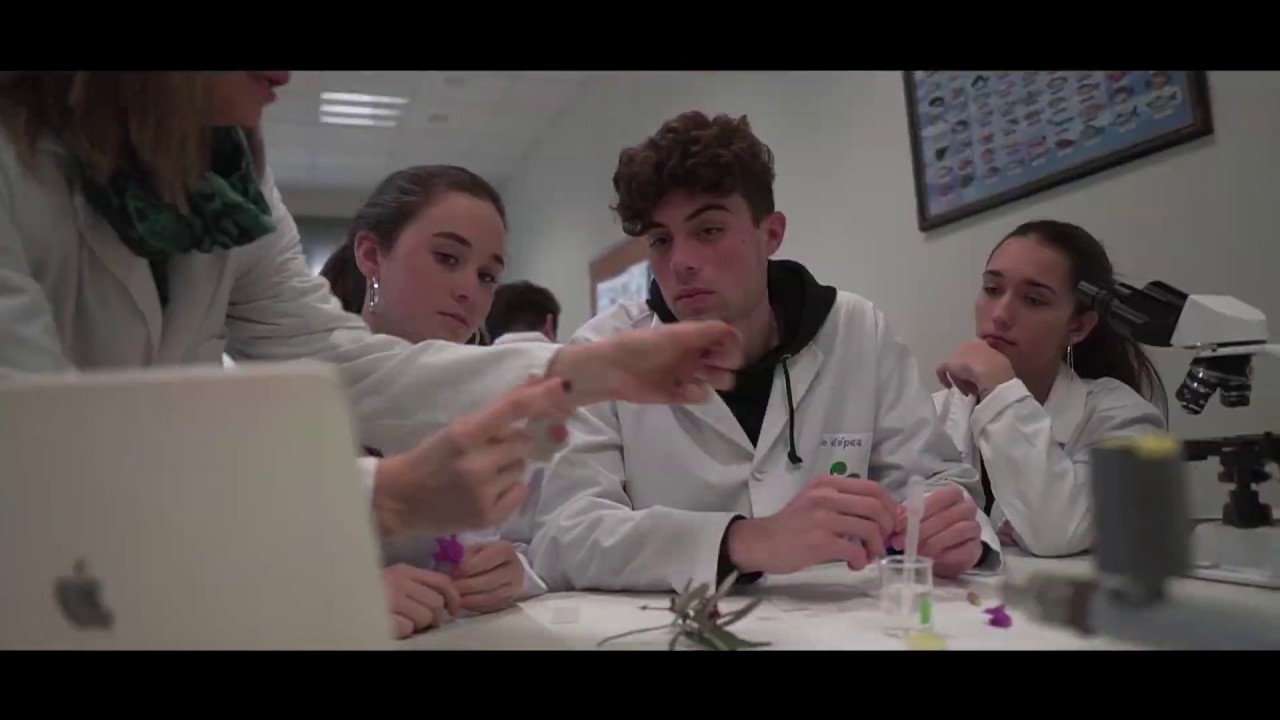 L'Alqueria Academy: this is the Mas Camarena Educational Complex (ENG)