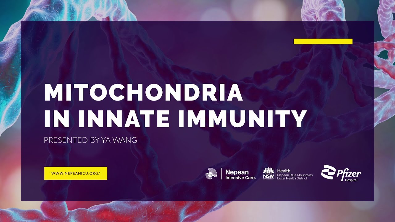 Mitochondria in Inate Immunity
