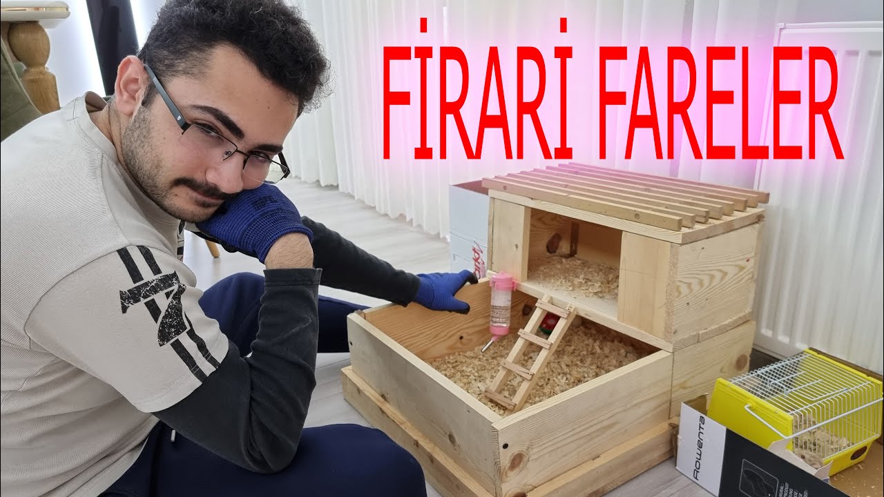 HAMSTERLER TAM BİR FİRARİ ÇIKTI