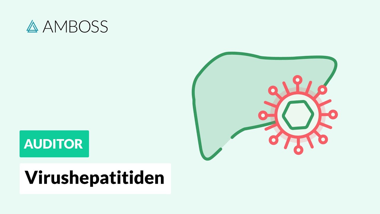 Virushepatitiden -- Hepatitis A, B, C, D und E im Vergleich -- AMBOSS Auditor