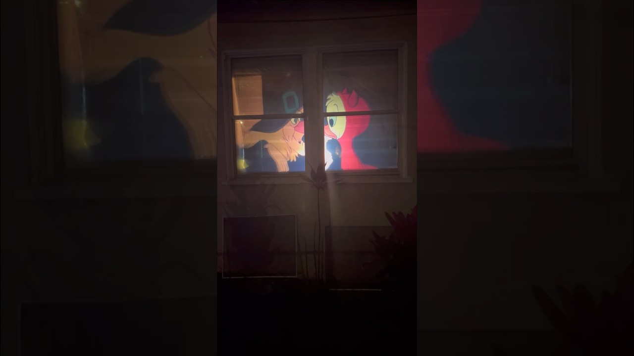 Halloween Projector 🎃🦇👻 #halloween #halloweenprojector #halloweenoutdoordecor