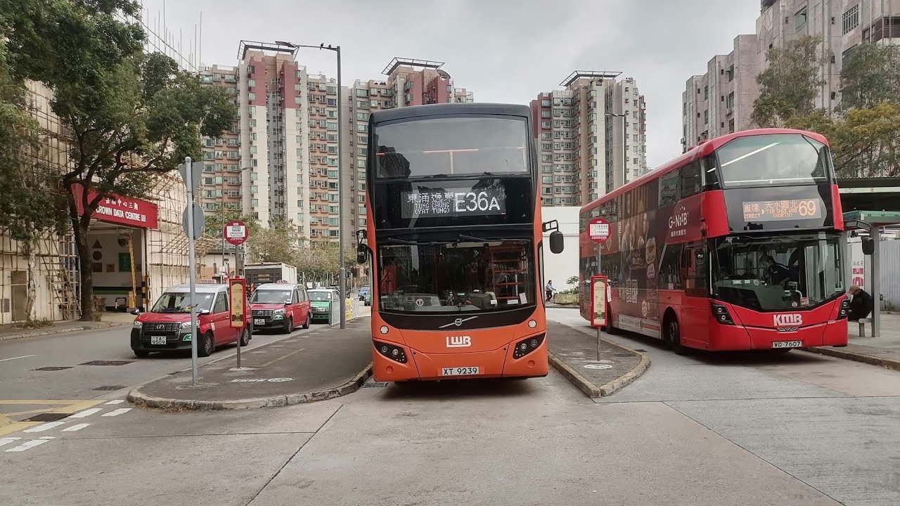 LWB E36A Yuen Long (Tak Yip Street) to Tung Chung Yat Tung(UV6X38 / XT9239)