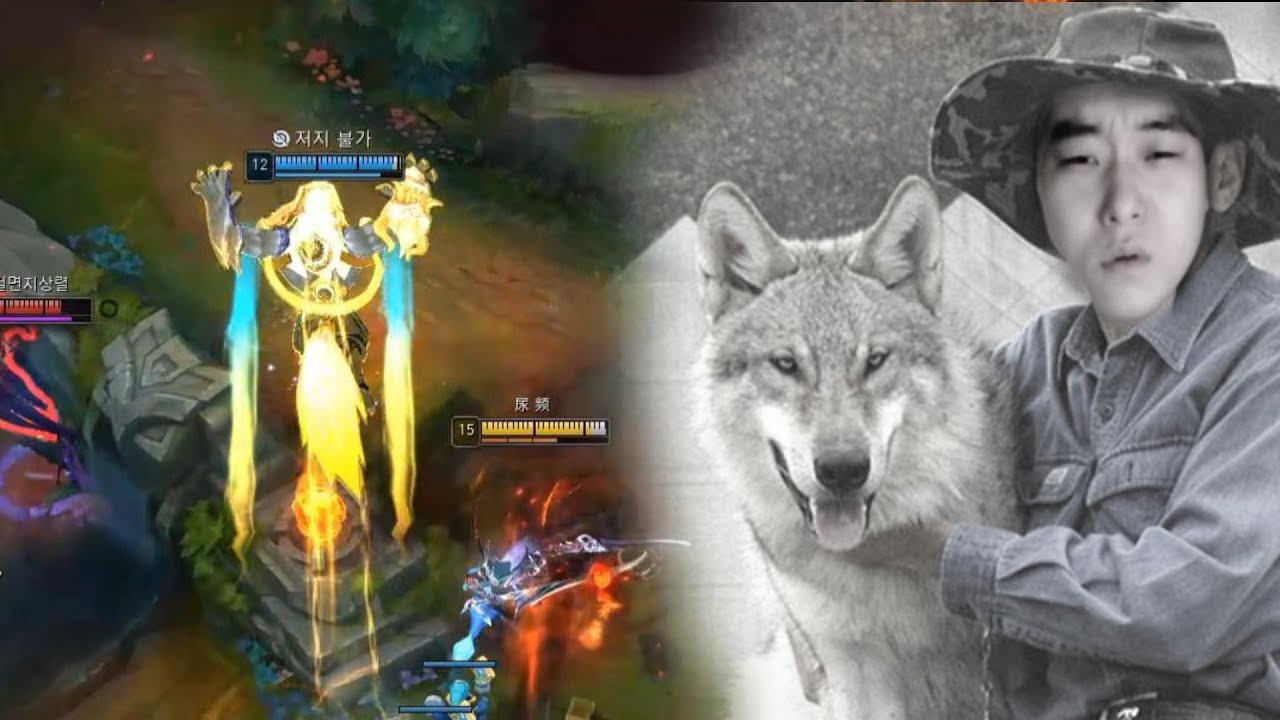 길들여지지 않는 늑대