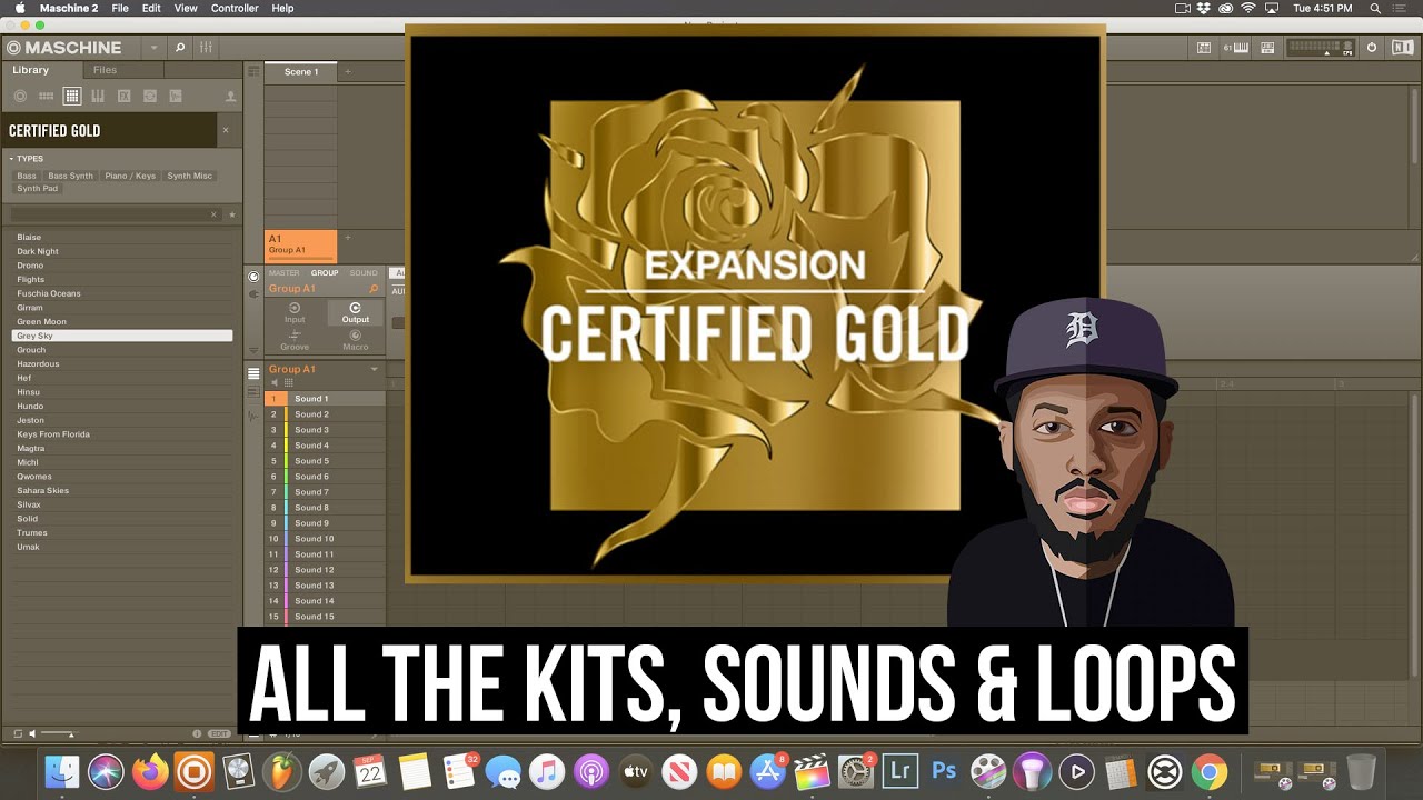New Certified Gold Expansion - Sound By Sound. Loops, Kits & Sounds) (Native Instruments)
