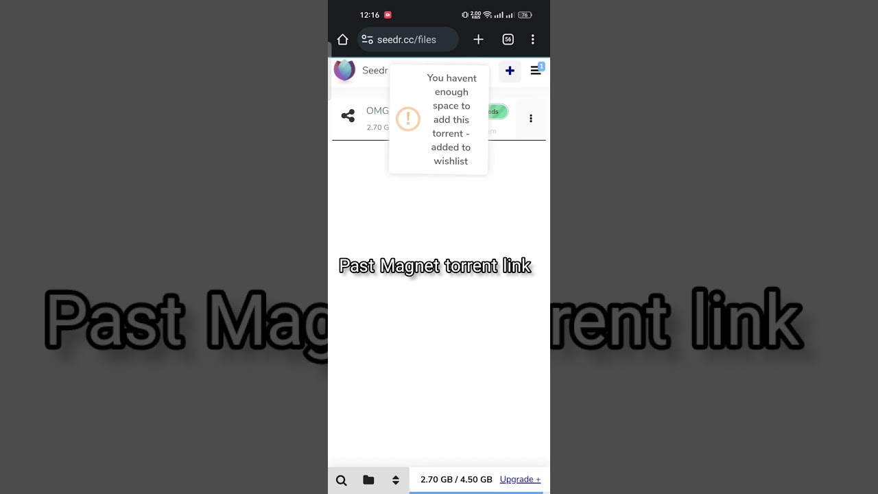 seedr easy torrent