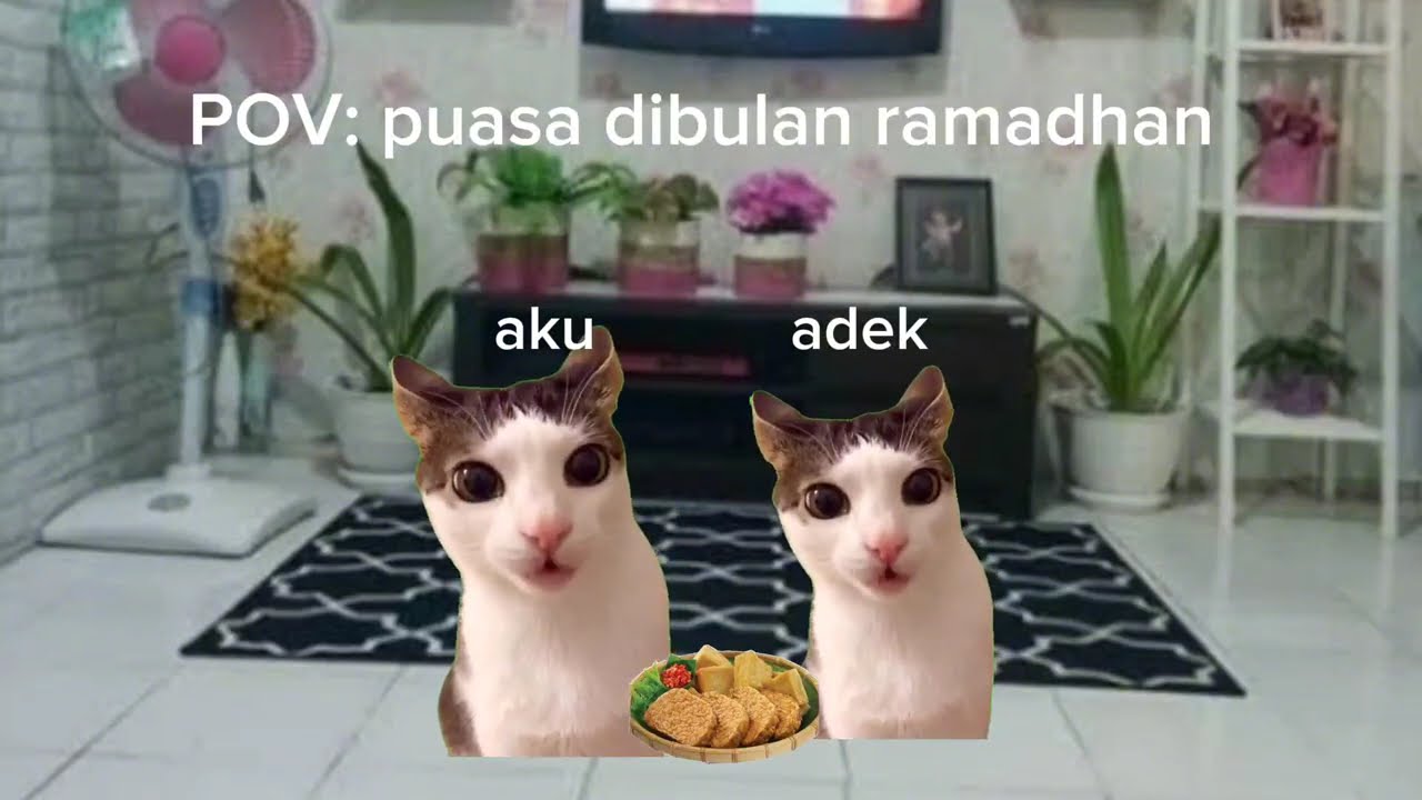 Ramadhan part 1 | meme kucing 
