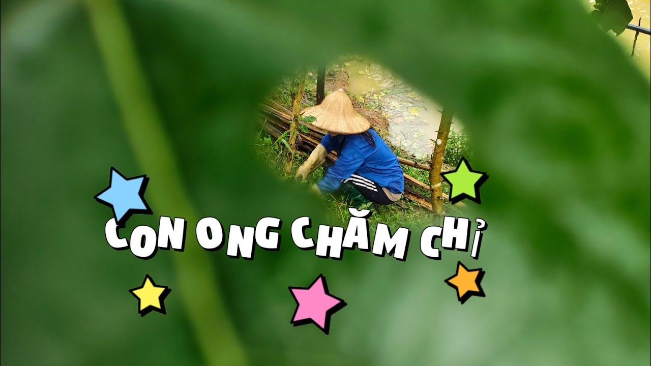 Tiếp Tục Hành Trình Dọn Cỏ Của Cô Pứ || Nậm Khum ||