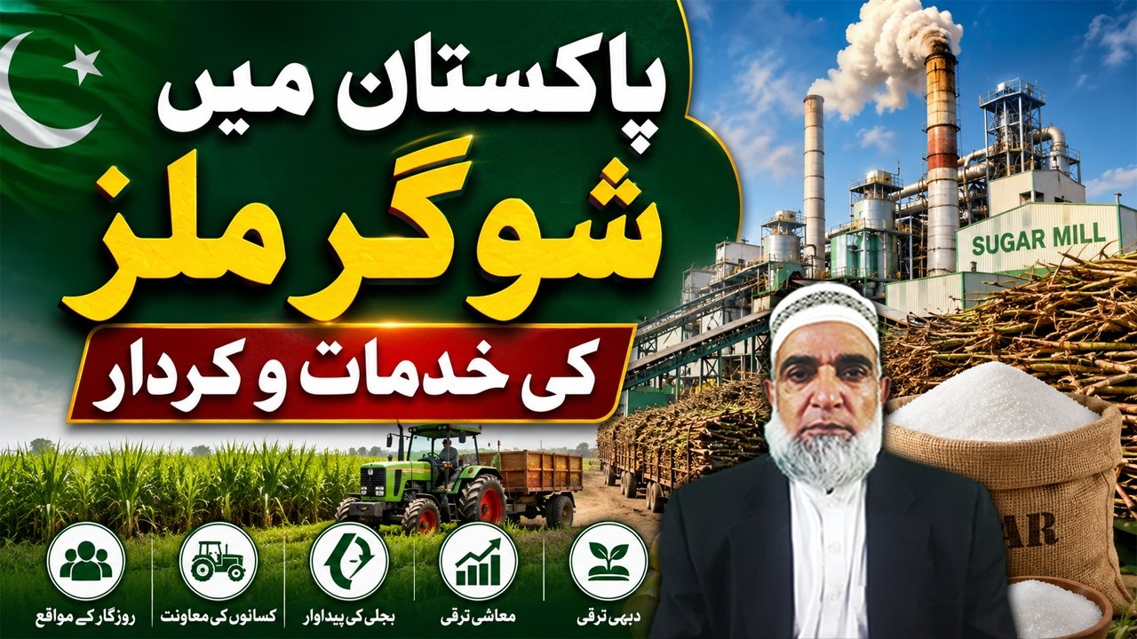 Role of Sugar Mills in Pakistan | Services & Importance Explained || Crop Reformer