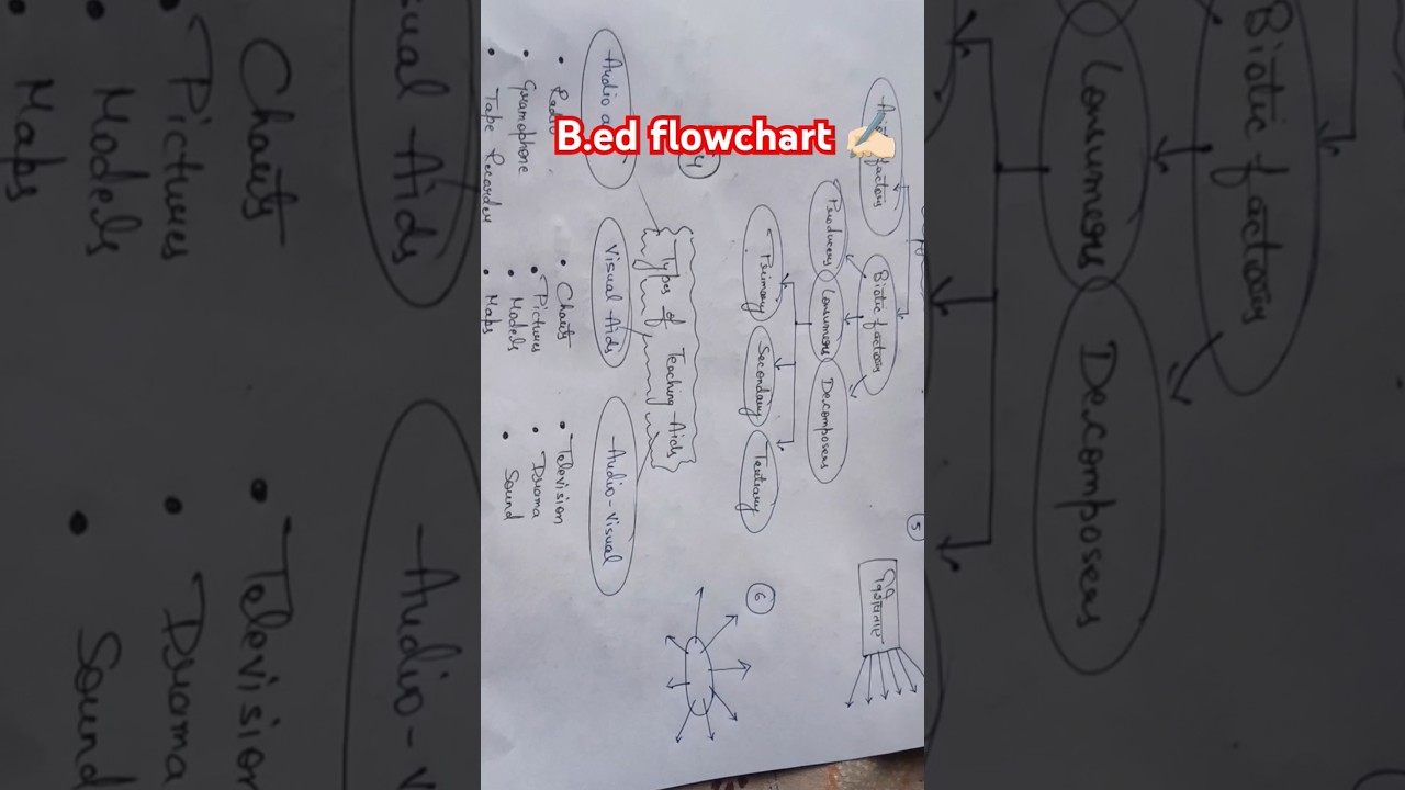 B.ed m copy kaise likhe? likhne ka pattern ✍🏻📖 flow chart kaise bnaye #crackexam #exam #ccsu #msu