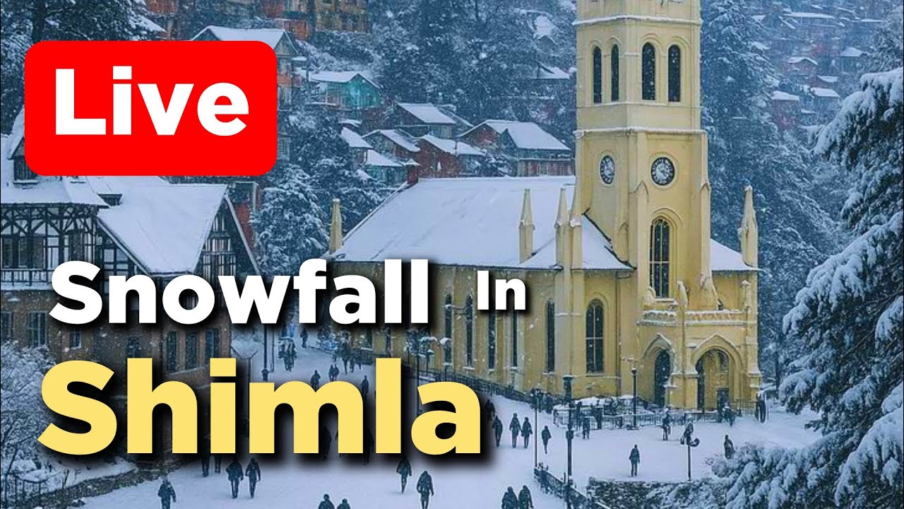 Live snowfall in Shimla now #shimlaLivesnowfall || Shimla Himachal pradesh