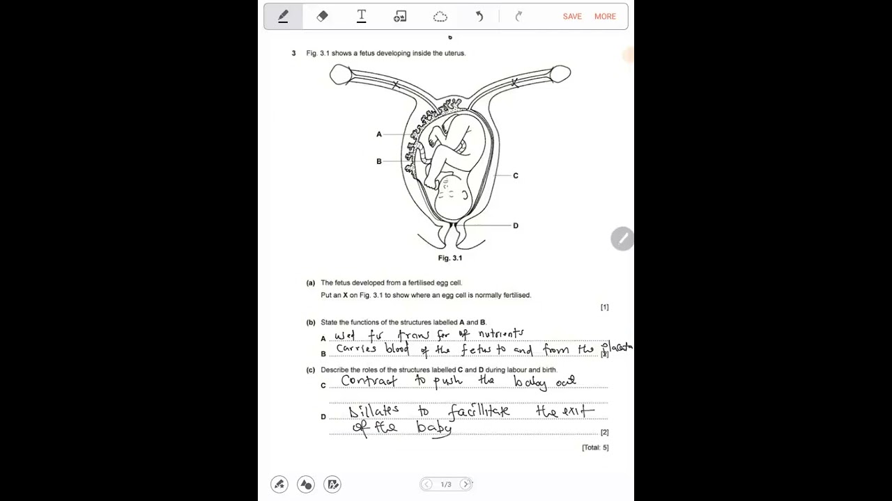 Biology Revision GCE & G12 ECZ.