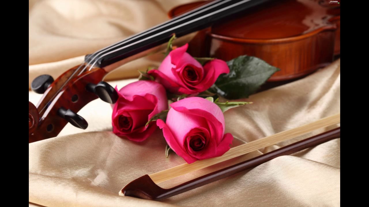 Minungum minnaminunge...VIOLIN song..by Sadiq Paravoor