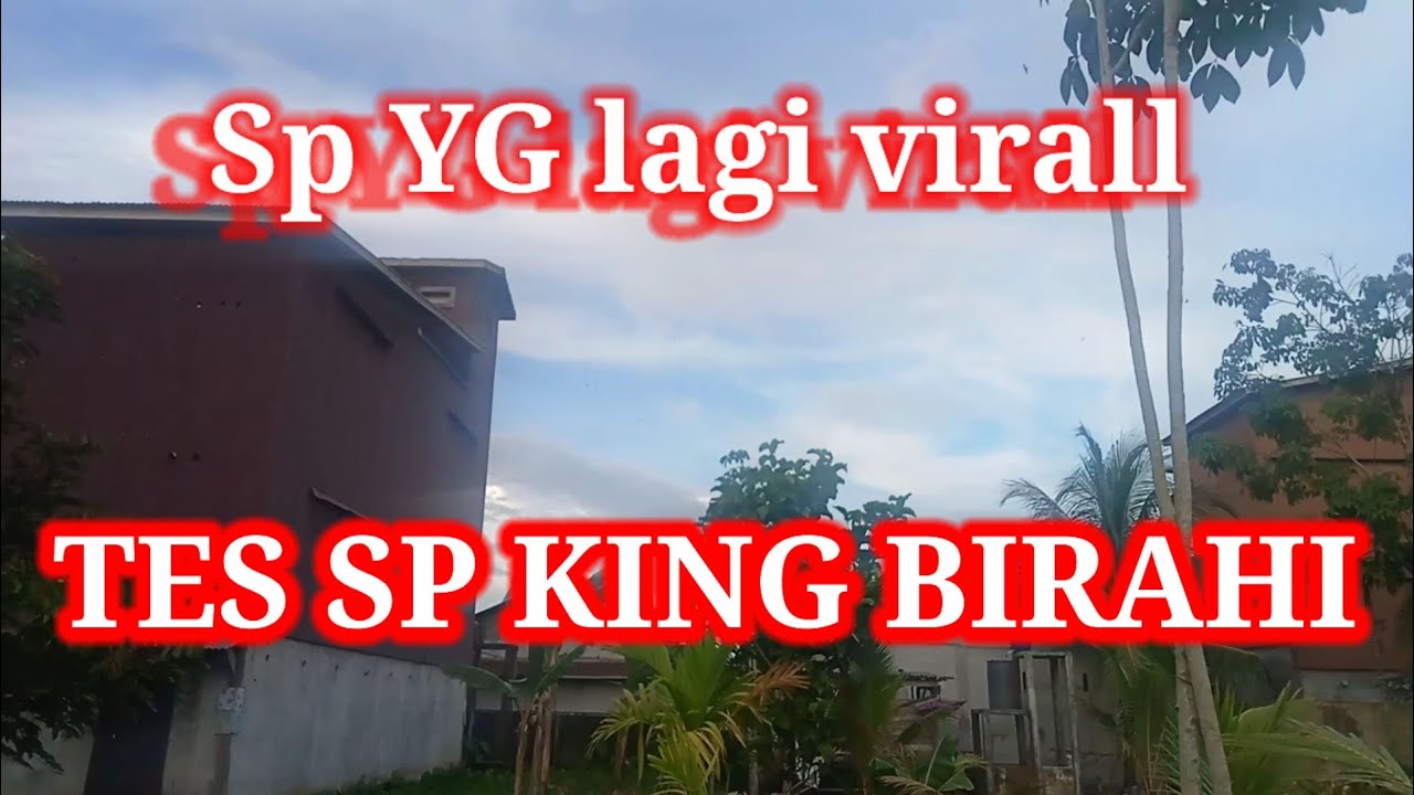 tes sp yg lagi virall sp king Birahi,link ada dikolom komentar👇👇