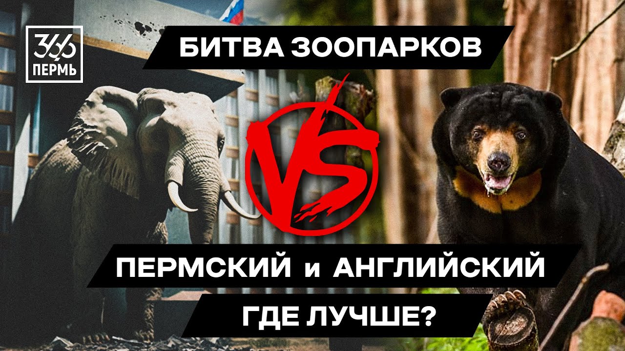 Как врали и воровали на строительстве пермского зоопарка