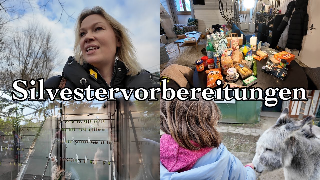 Countdown Tüten | Silvestereinkauf | Schmetterling Park