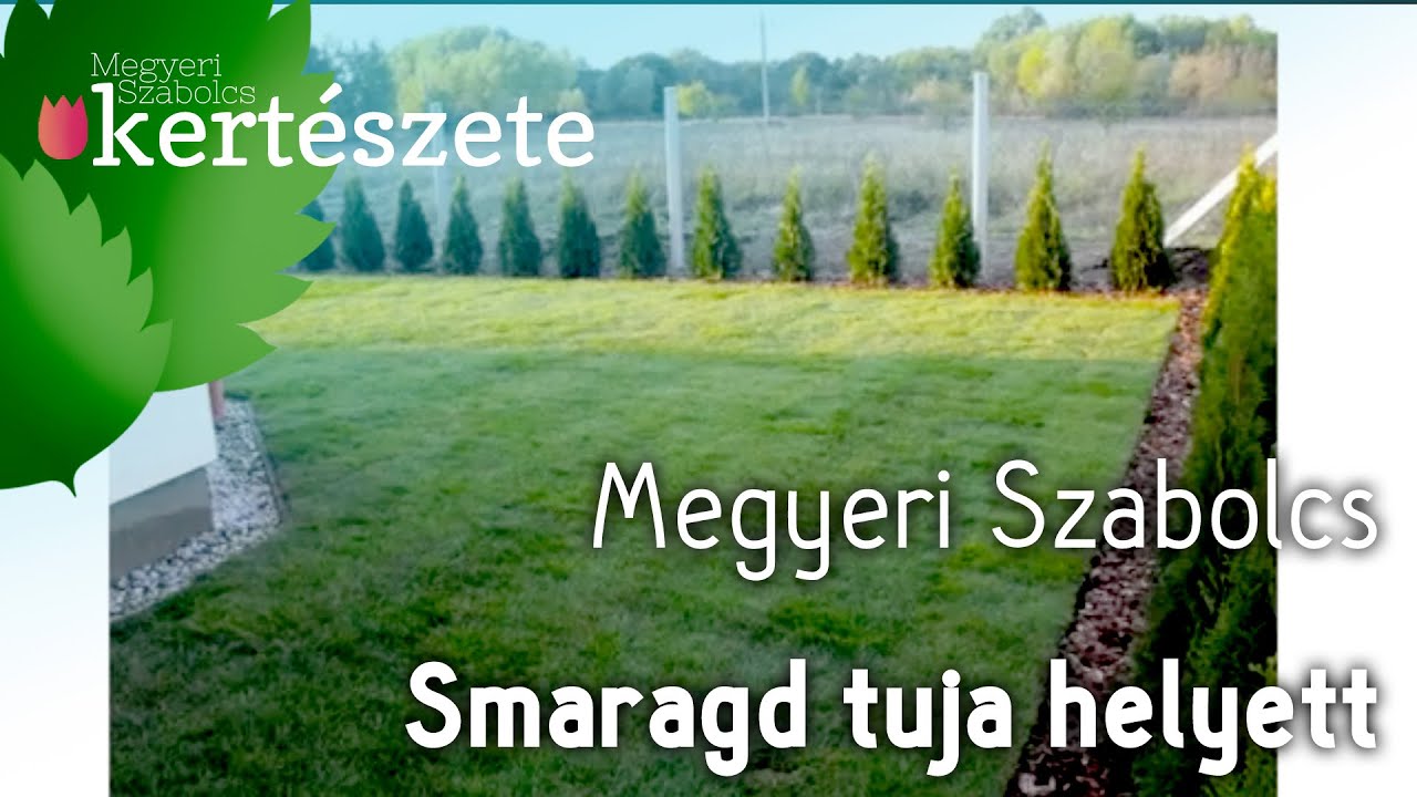 Smaragd tuja helyett - Smaragd tuja alternat&iacute;v&aacute;k