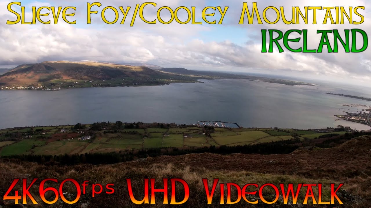 IRELAND WALKING | Slieve Foy/Cooley Mountains | VideoWalk 4K60ᶠᵖˢ UHD🔴
