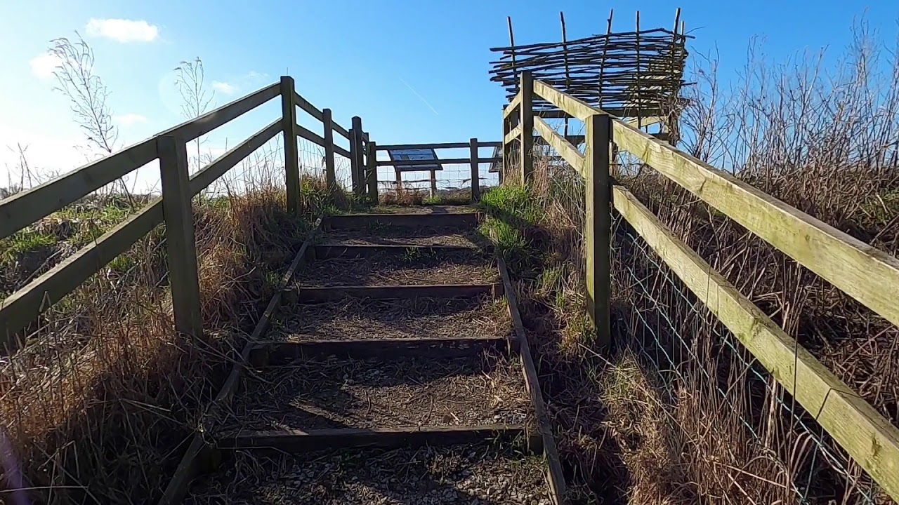 A stroll around the perimeter of Lunt Meadows Nature Reserve