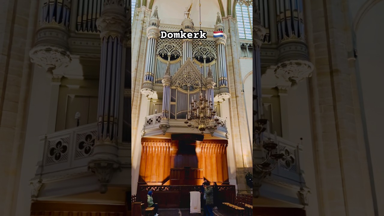 The majestic organ inside Utrecht&rsquo;s Domkerk &mdash; pure elegance!