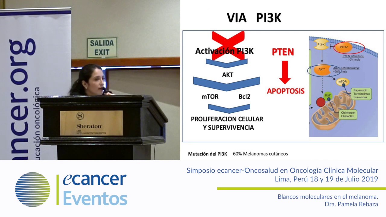 Blancos moleculares en el melanoma.