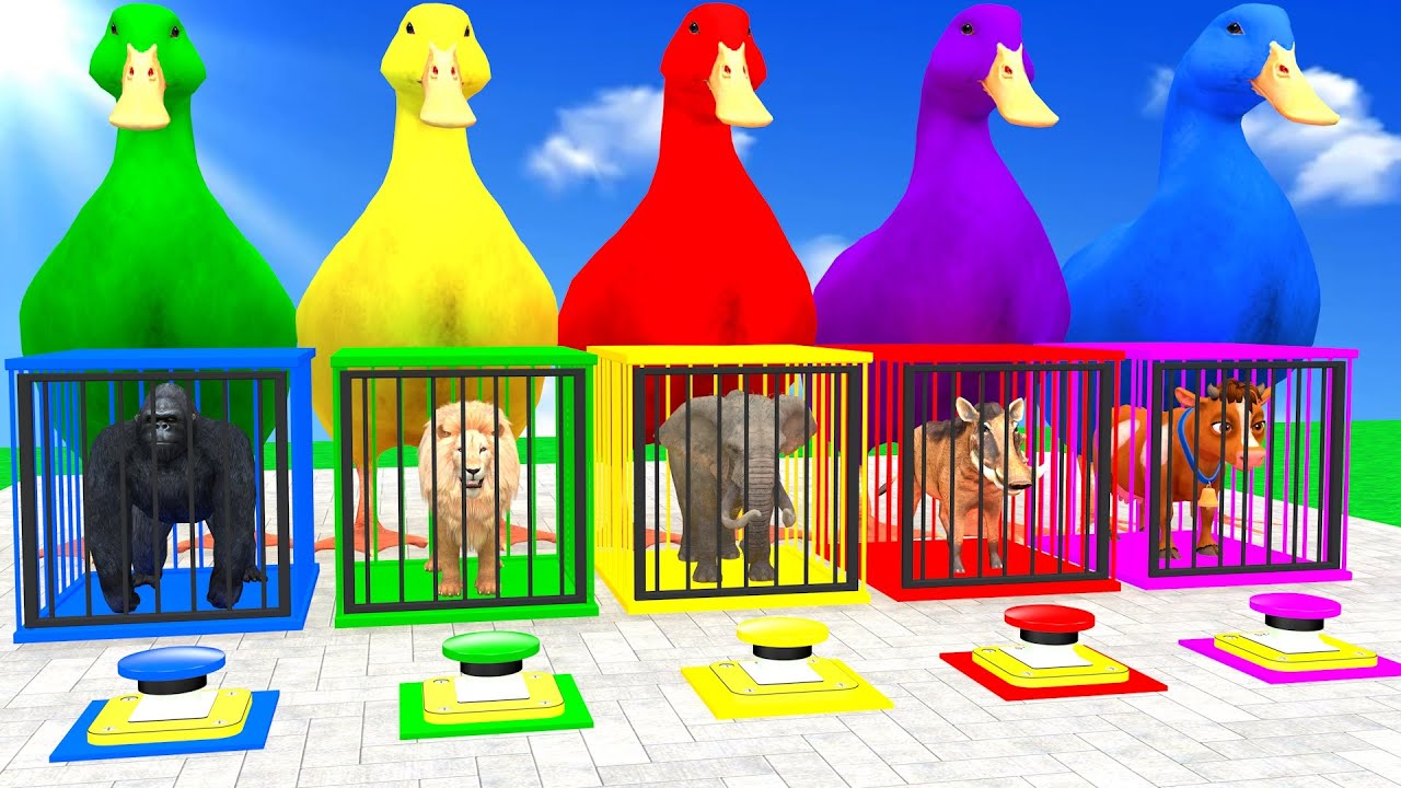 Long Slide Game With Elephant Lion Gorilla Warthog Cow Hippopotamus 3d Animal Game Funny 3d Animals