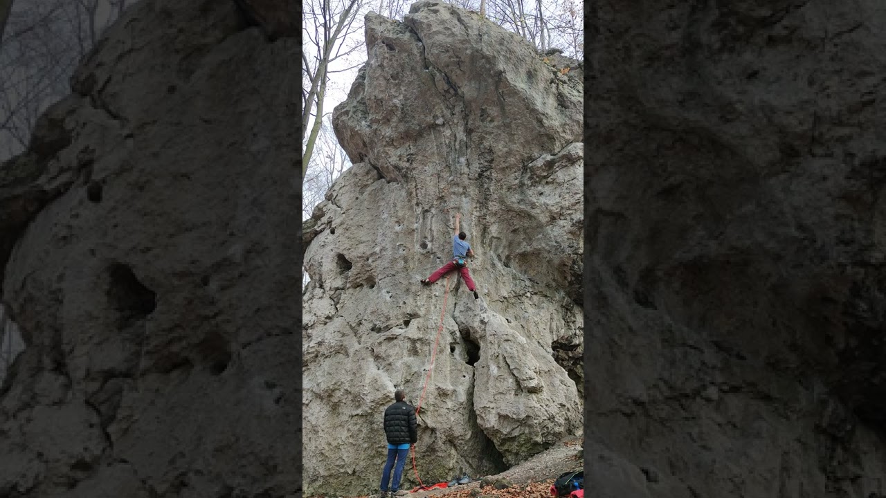 Hektor VI.5 .Biały pies.