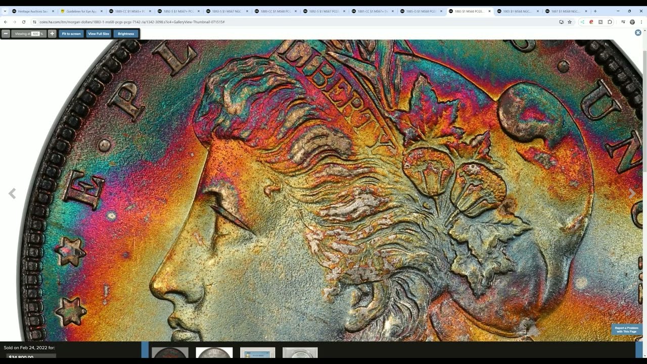 WOW! Monster Toned Morgan Dollar Sold For $34,800!