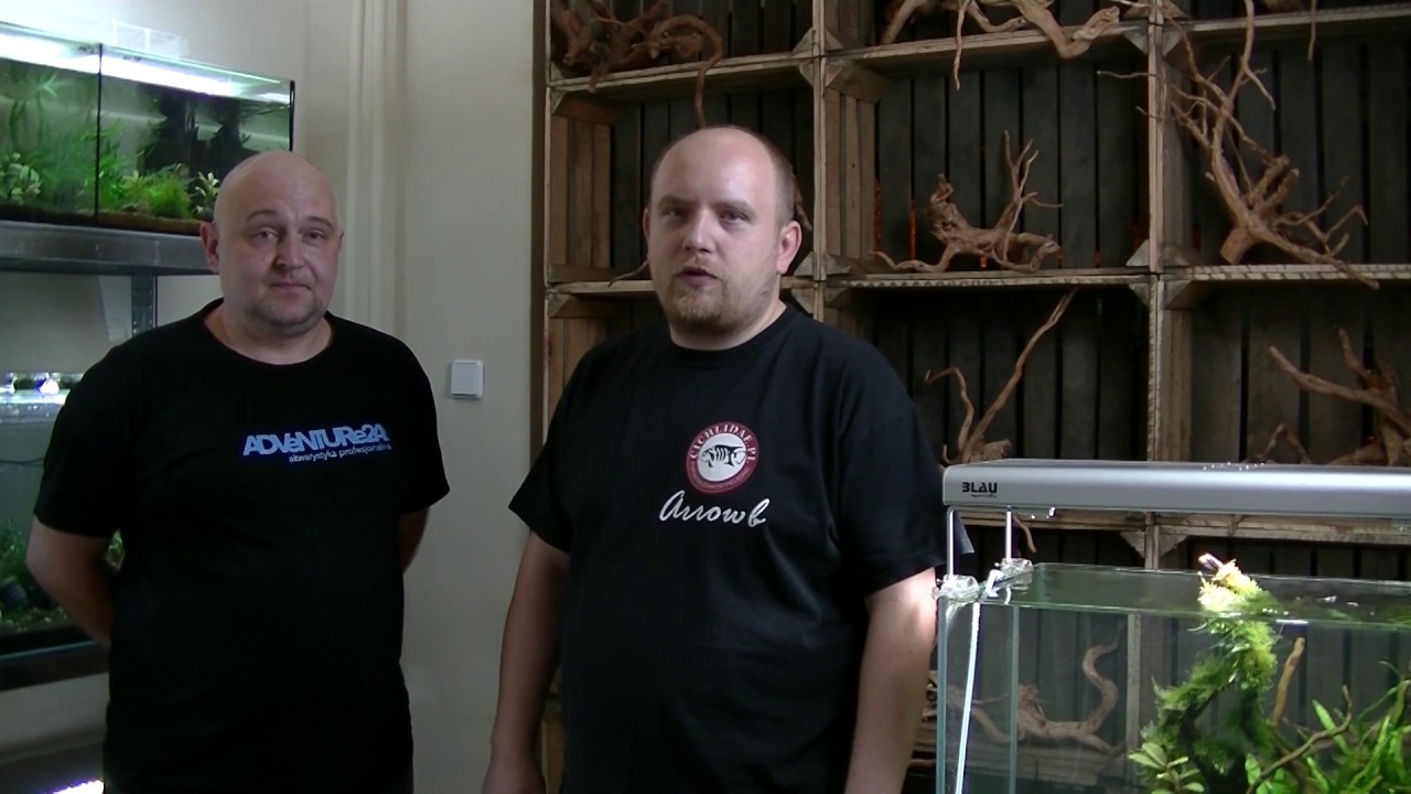 Sklepy zoologiczne: Sklep akwarystyczny Adventure