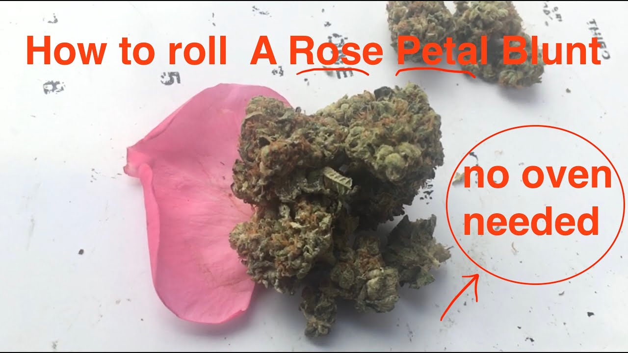 How to roll a Rose Petal Blunt! no oven/glue needed!!!!