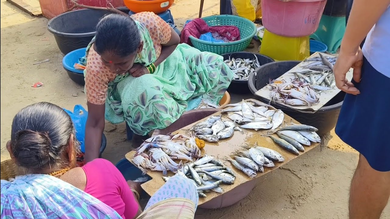 Fish Market #malvan