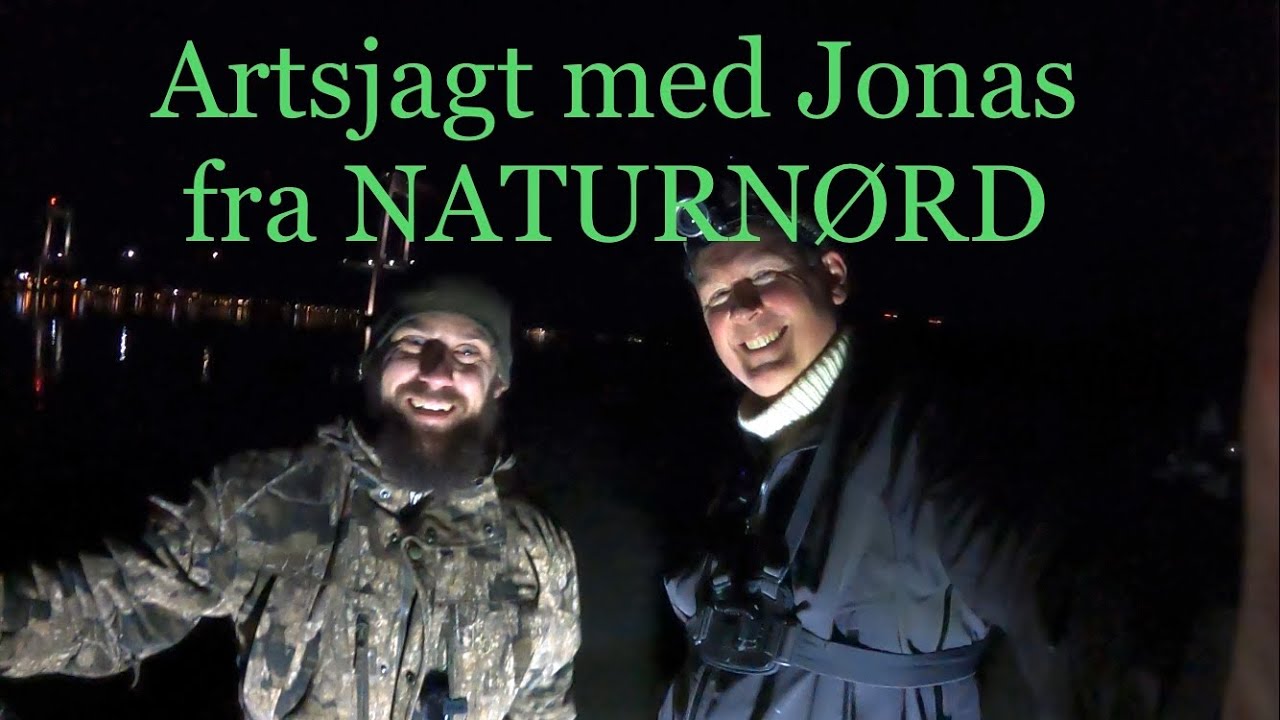 Artsjagt med Jonas fra NATURN&Oslash;RD