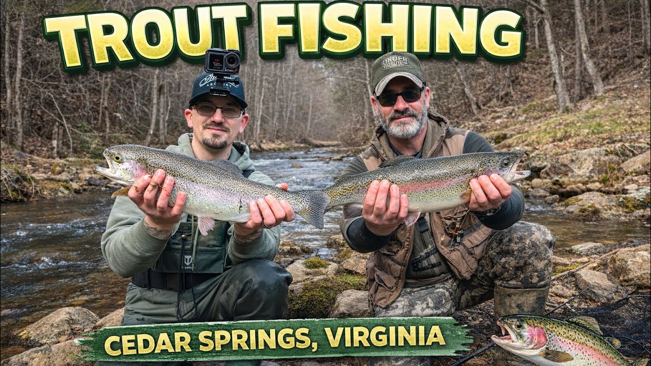 Trout Fishing Cedar Springs | Giant Trout Caught 